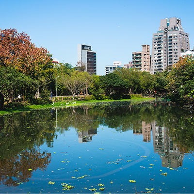 Daan Park's serene pond surrounded by lush greenery.