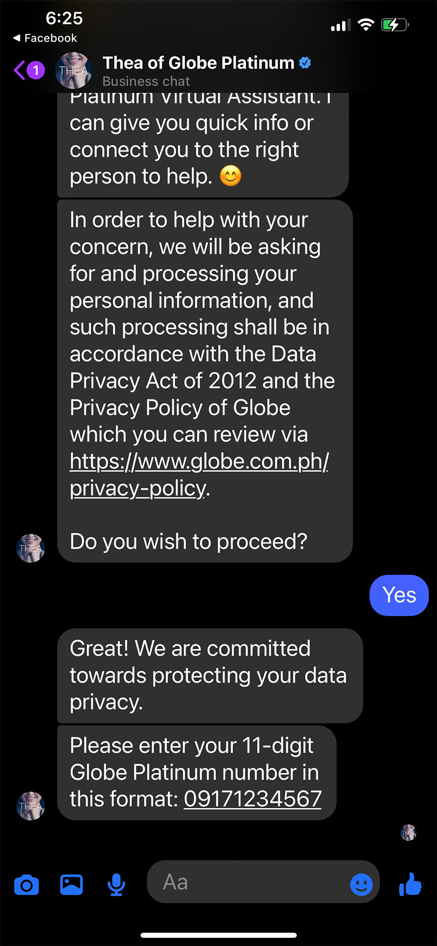 Screenshot of a Facebook chat with Thea of Globe Platinum discussing data privacy and a request for a phone number.