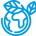 image-icon