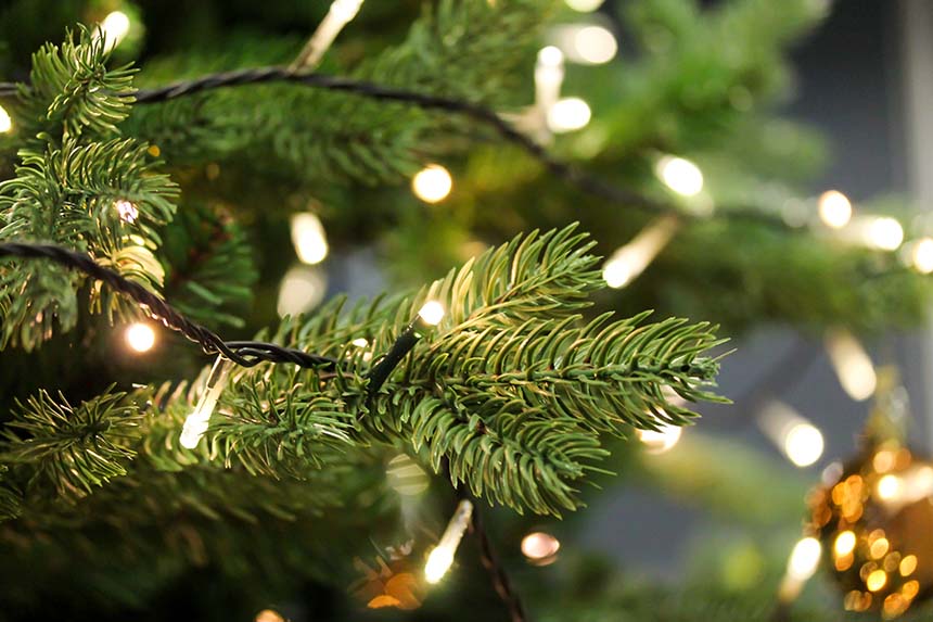 A close-up of green Christmas tree branches adorned with glowing string lights, creating a festive holiday atmosphere.